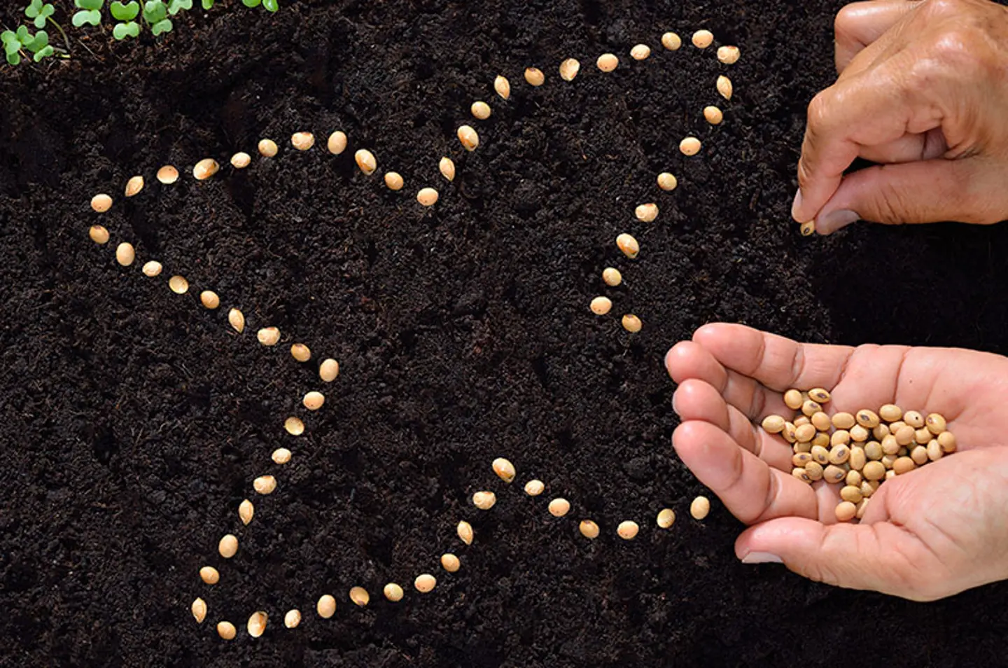 Hands planting seeds in rich soil, forming an 'X' shape—symbolizing growth and innovation within Axelent. Promoting sustainability, agriculture, and the 'Grow with Us' philosophy.